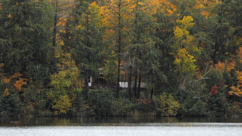 Cabin woods north wisonsin location